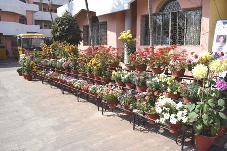 School Garden